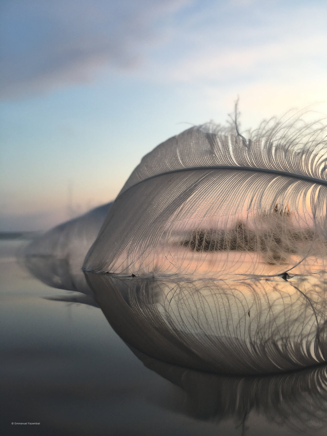 Cette photographie représente une plume et son reflet dans l'eau.